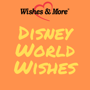 disney-world-wishes