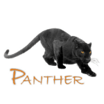 Panther Persicion Logo