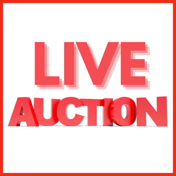 Live Auction Graphic