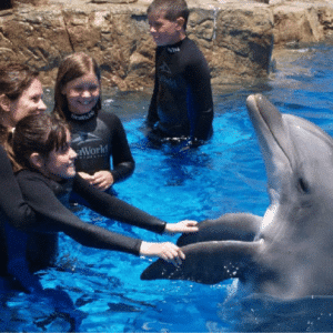 Emily and a dolphin at Sea World