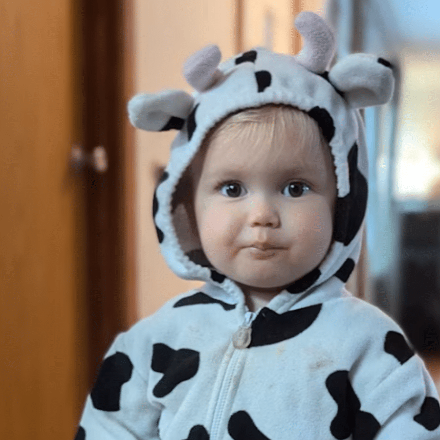 Dublin in his cow costume
