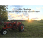 Allis-Chalberg Bassett Hounds