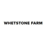 Whetstone